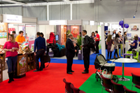 Harrogate Nursery Fair 2016